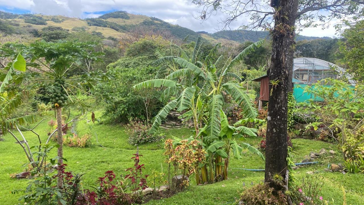 Готель Chorotega Cabina Monteverde Екстер'єр фото