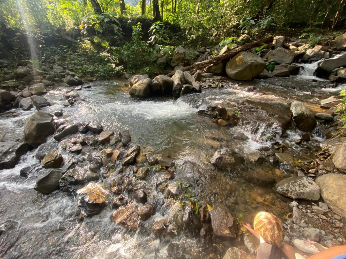Готель Chorotega Cabina Monteverde Екстер'єр фото