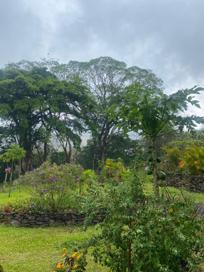 Готель Chorotega Cabina Monteverde Екстер'єр фото